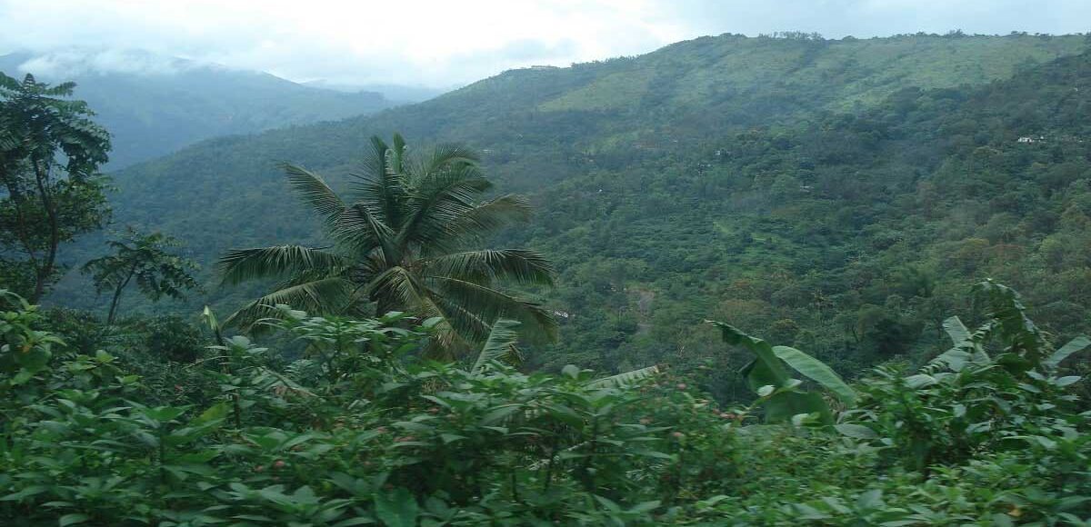 Ayurveda et Nature - sejours ayurvediques