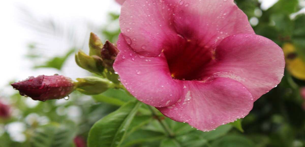 Les meilleurs moments pour méditer