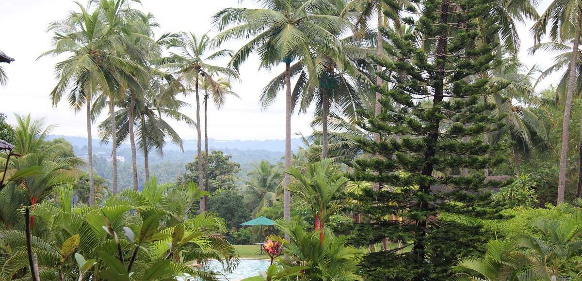 voyage ayurvédique Kerala