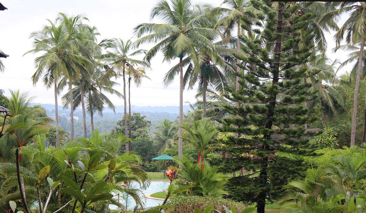 voyage ayurvédique Kerala