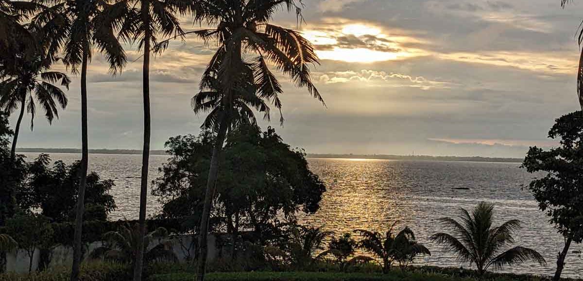 Explorez l'Art de la Guérison : un séjour ayurvédique au Kerala