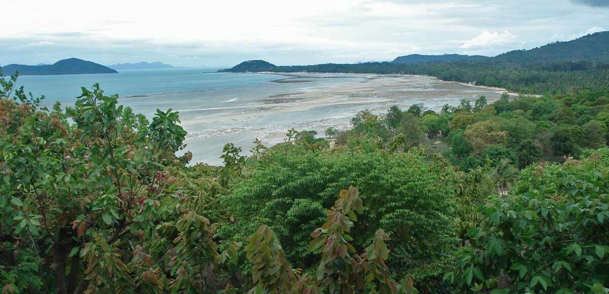 Le nettoyage de la langue en Ayurveda: une clé pour notre bien-être