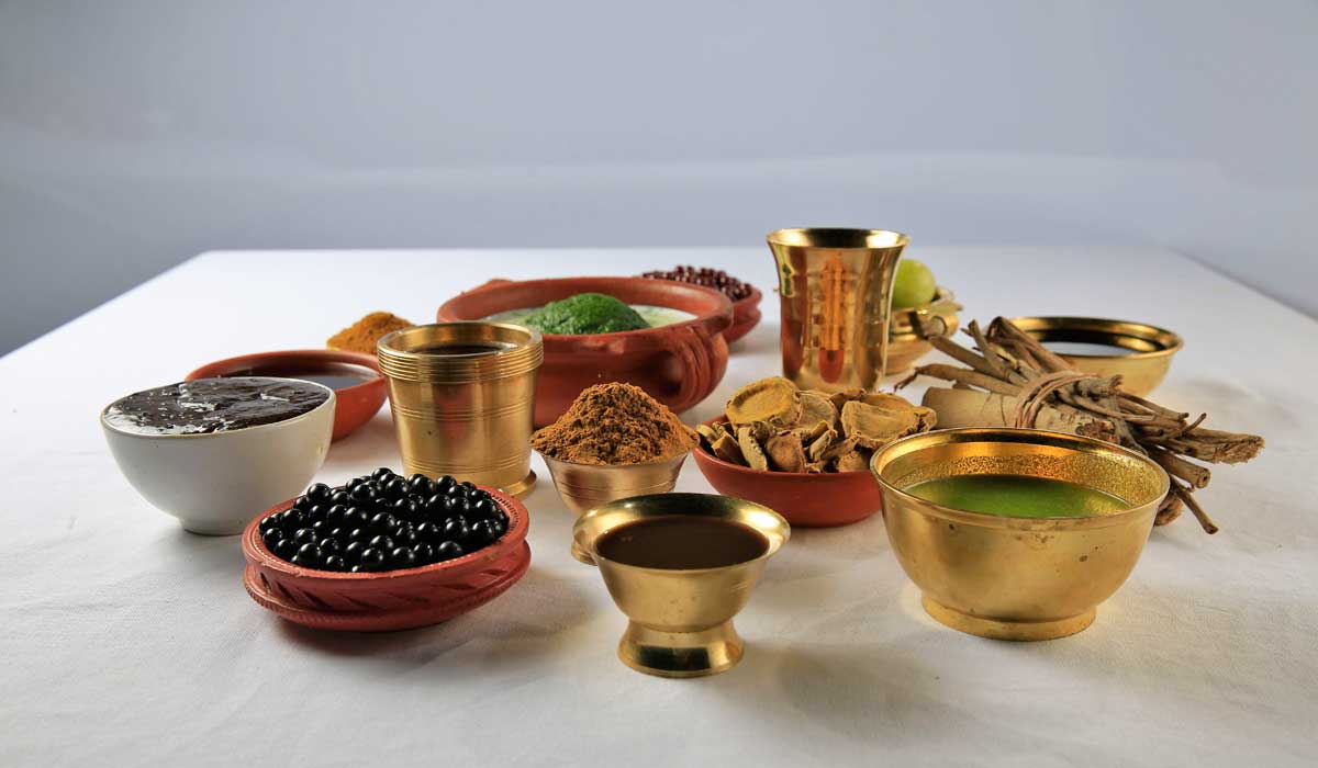 Les herbes en Ayurveda : une médecine vivante, précise et personnalisée