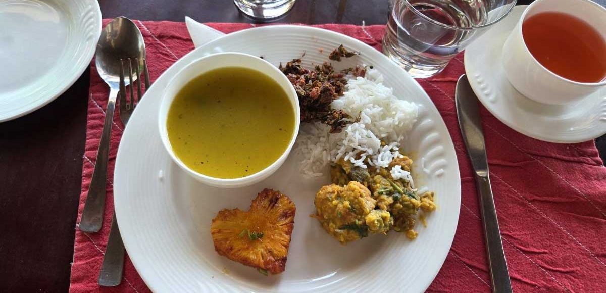 Les repas ayurvédiques pendant une cure : personnalisation, équilibre et bon sens