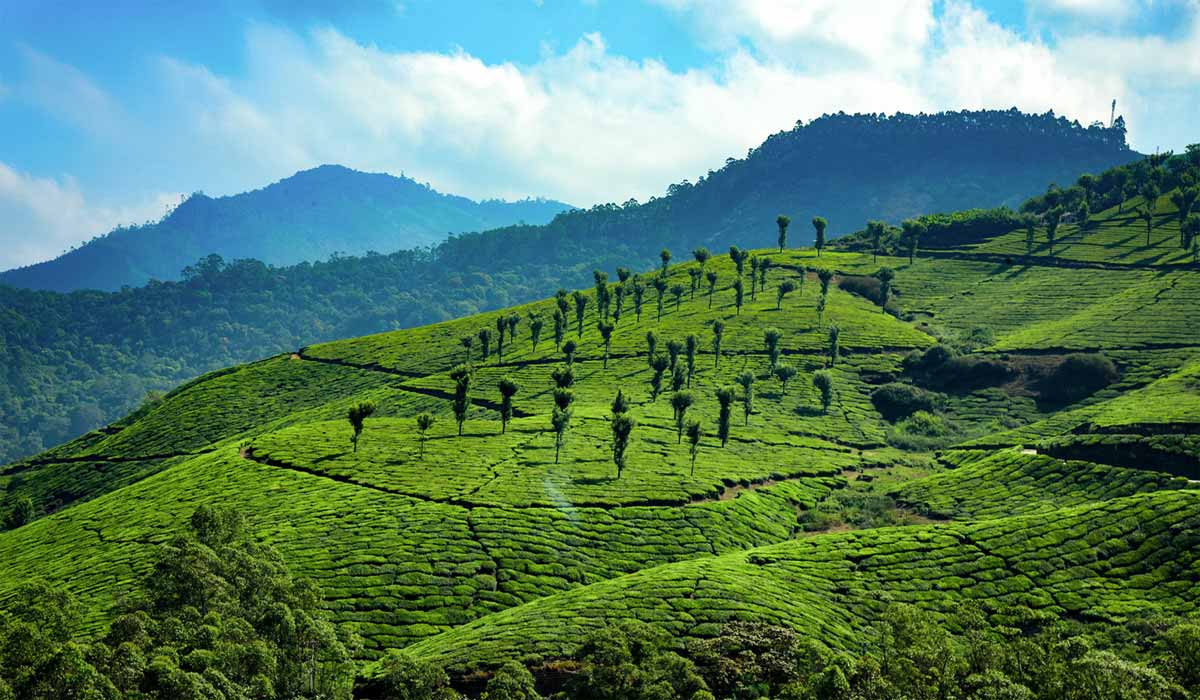 Le Kerala autrement : la beauté d’un séjour ayurvédique pendant la mousson
