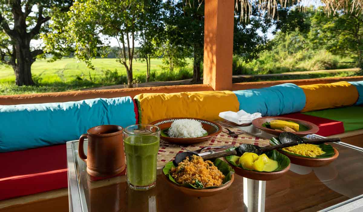 Pourquoi mange-t-on si simplement pendant une cure ayurvédique ?
